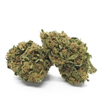 Bubble Gum