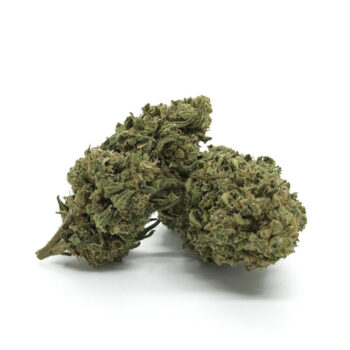 Gelato