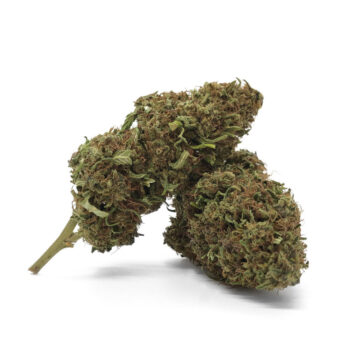 Og Kush
