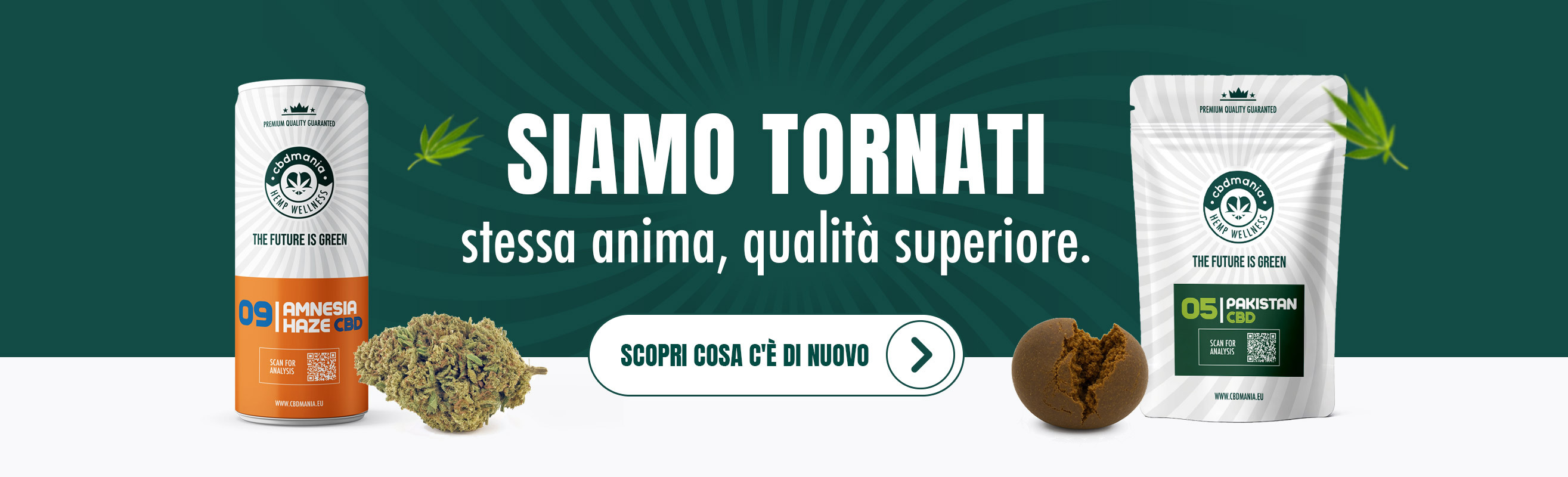bannerLayoutDesktop