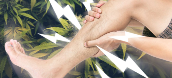 Usare la cannabis per combattere il sovraffaticamento muscolare