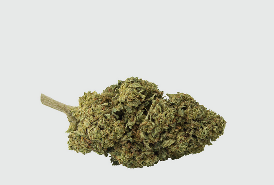 CBD Critical Mass varietà di Cannabis CBD