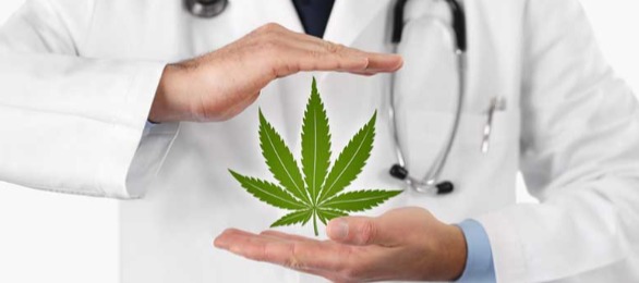 La cannabis potrebbe aiutare a prevenire l’infezione da Coronavirus