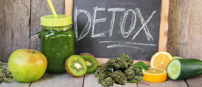 La preparazione di bevande detox e infusi a base di cannabis rappresenta una pratica piuttosto antica che permette di beneficiare di tutte le proprietà della marijuana, contribuendo a disintossicare l’organismo privandolo di eventuali liquidi in eccesso che tendono a ristagnare nei tessuti.