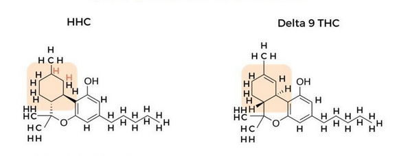 Differenza chimica tra HHC e THC