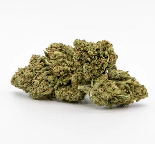 Elektra varietà cannabis CBD