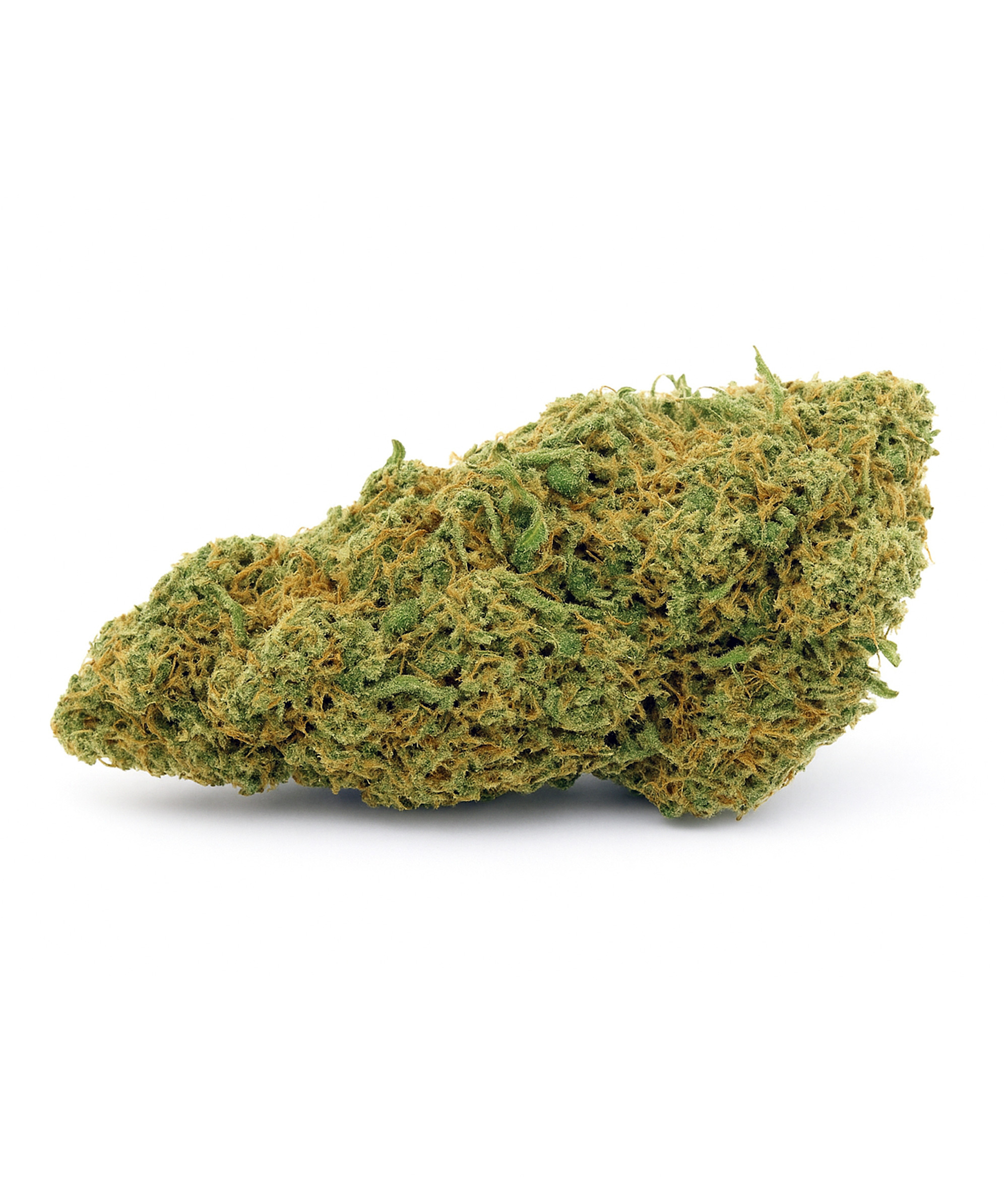Gelato 2025