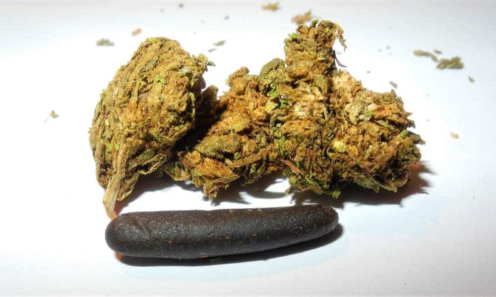 Differenze tra hashish e marijuana