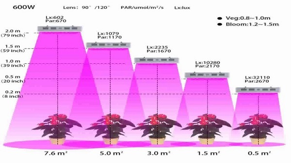 Tenere in considerazione le dimensioni del grow box