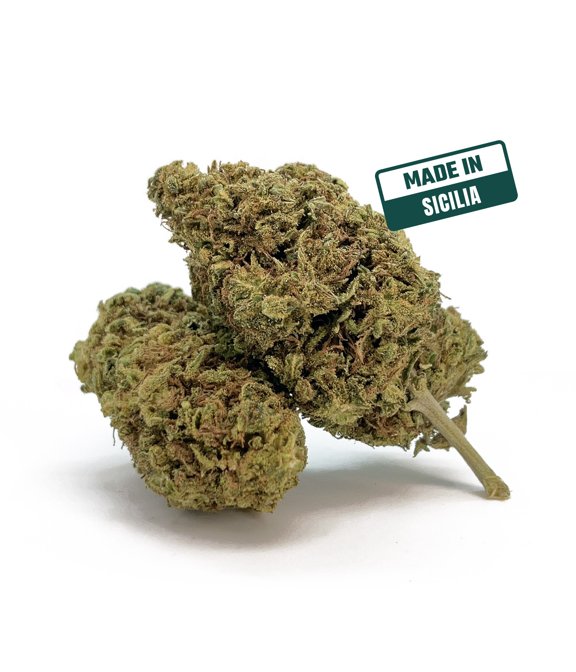 Lemon haze cbd 2024