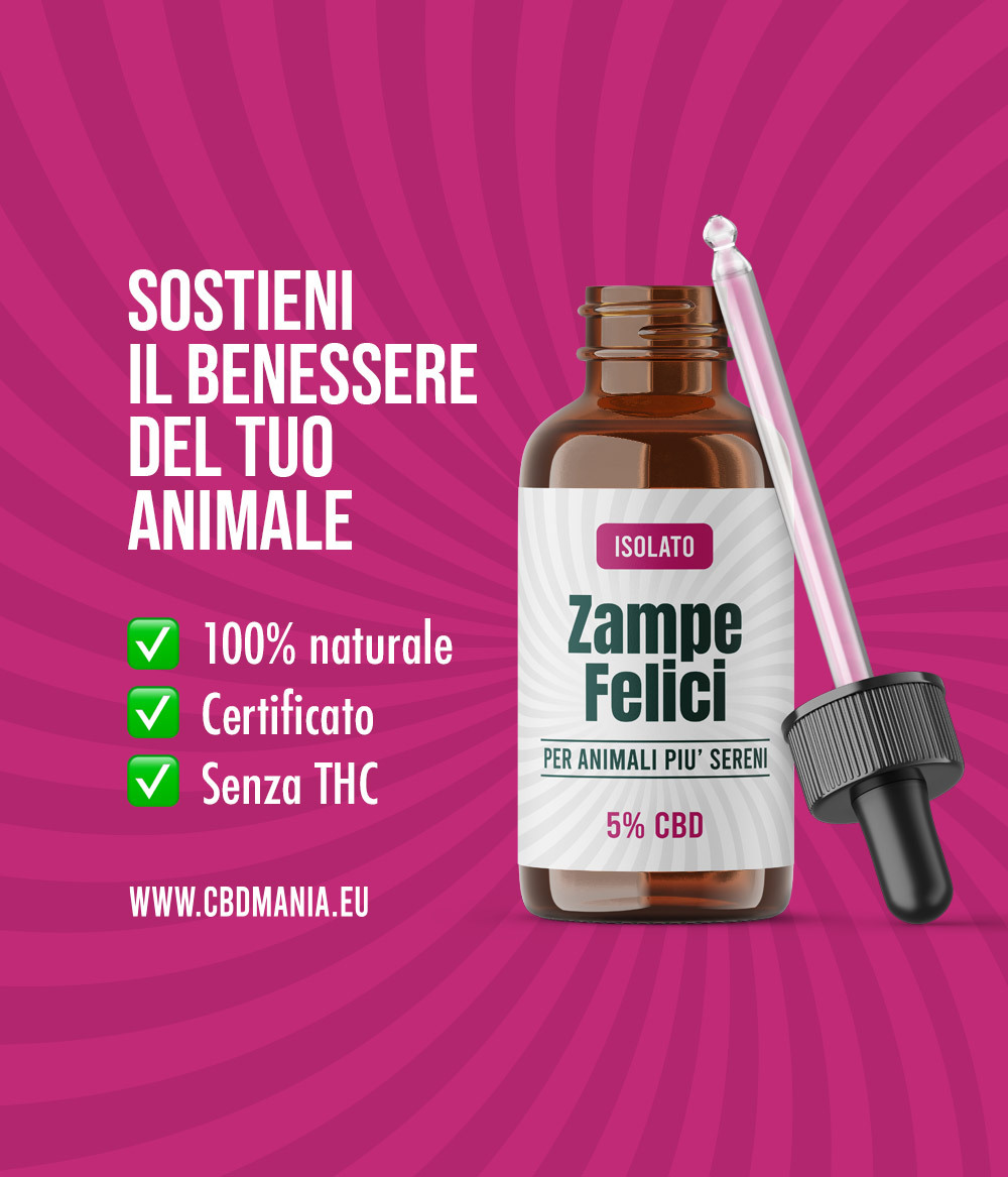 Olio cbd pet
