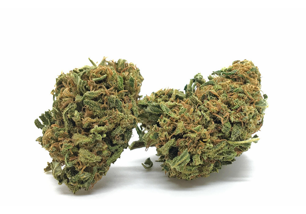 La Orange Bud è uno dei rappresentanti della 'vecchia scuola di canapa sativa'. Dal suo sapore intenso prevale il retrogusto che condivide con la famiglia della cannabis Indica.
