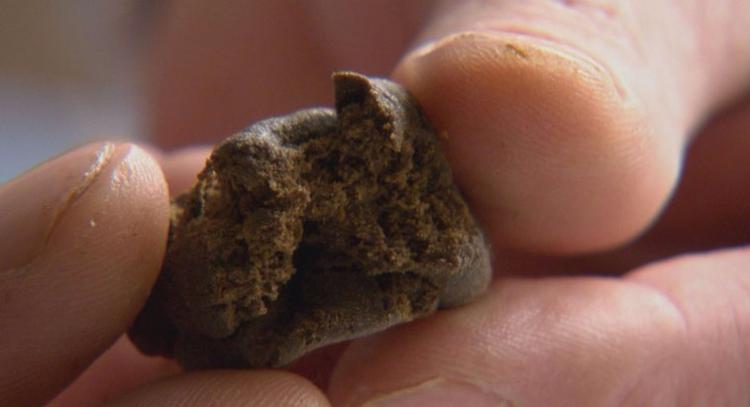 In Pakistan, il migliore hashish viene prodotto prevalentemente nelle regioni di Chitral e Swat, sebbene ad oggi molte delle coltivazioni di canapa originarie siano state riconvertite all’oppio.