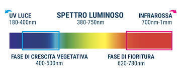 Calcolare la quantità di luce e la resa luminosa ideale