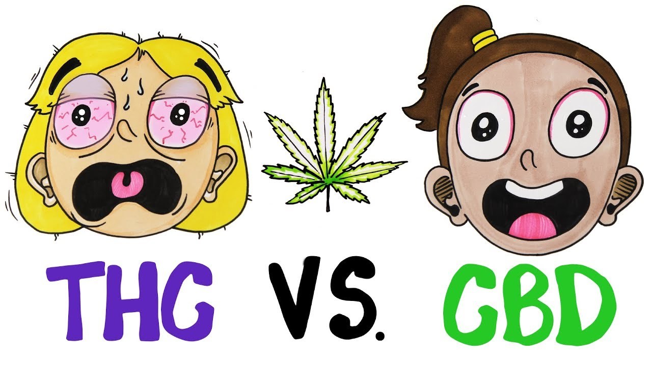 Differenze tra THC e CBD