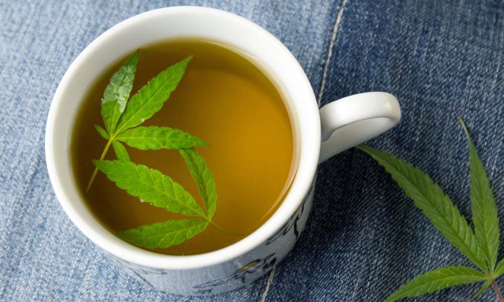 Tisana alla marijuana ecco alcune ricette imperdibili! CBDMania.it